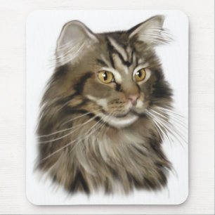 Svart katt för TabbyMaine Coon Musmatta
