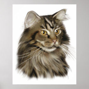 Svart katt för TabbyMaine Coon Poster
