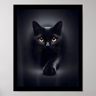 Svart katt gula ögon  poster