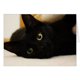 Svart katt hälsningskort