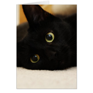 Svart katt hälsningskort