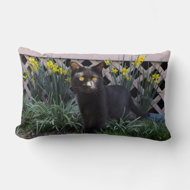 Svart katt i Daffodils Dekorativ kudde (Framsida)