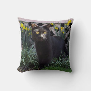 Svart katt i Daffodils Dekorativ kudde