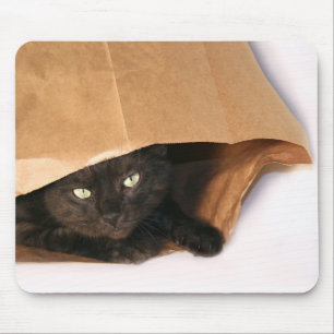 Svart katt i en hänga lösmousepad musmatta