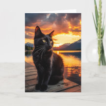 Svart katt i ett fantastiskt slitfärgat hälsningsk