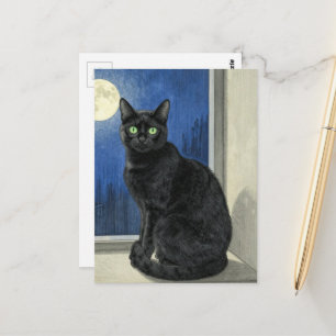 Svart katt i fönstret på en regnig natt vykort