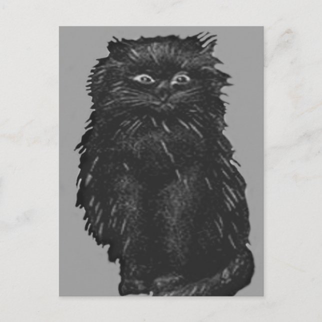 Svart Katt i Monokrom Vykort (Framsida)