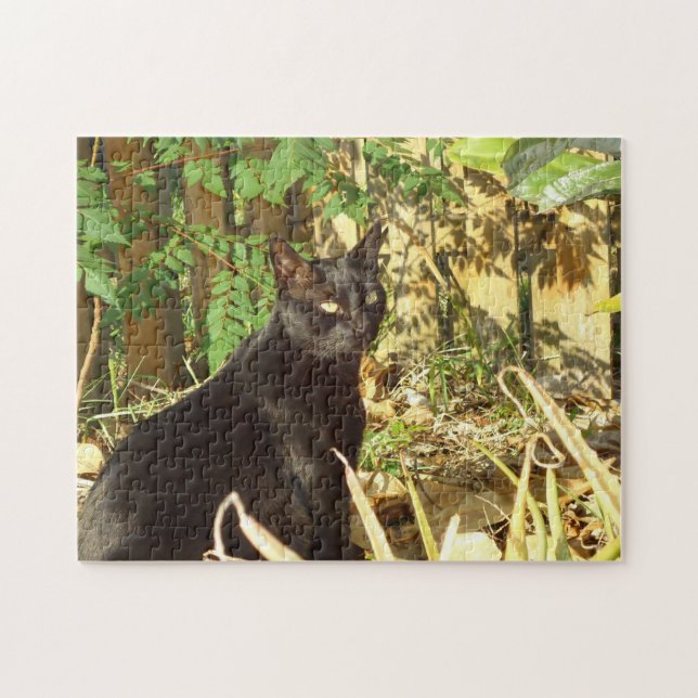 Svart katt i morgonsolpussel pussel (Horisontell)