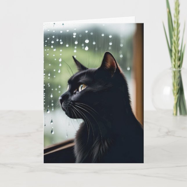 Svart katt i nederbördsfönstret kommer snart kort (Framsida)