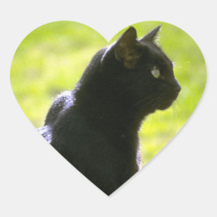 Svart katt i profil hjärtformat klistermärke