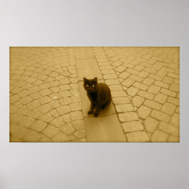 Svart katt i Sepia Poster (Framsidan)