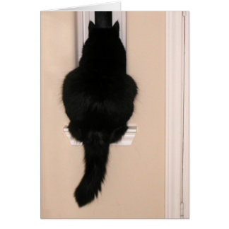 Svart katt i smalan hälsningskort