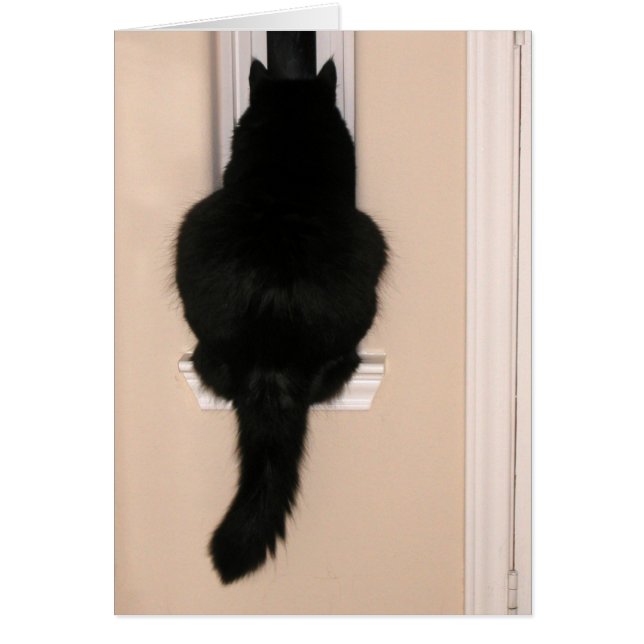 Svart katt i smalan hälsningskort (Framsidan)