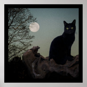 Svart katt i Träd framför en full måne Poster