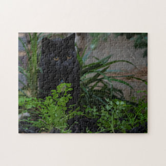 Svart katt i trädgården, 252 delar pussel