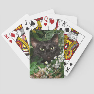 Svart katt i vildblommar kortlek