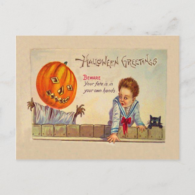 Svart Katt Jack O Lantern Pumpa Fågelskrämma Vykort (Framsida)