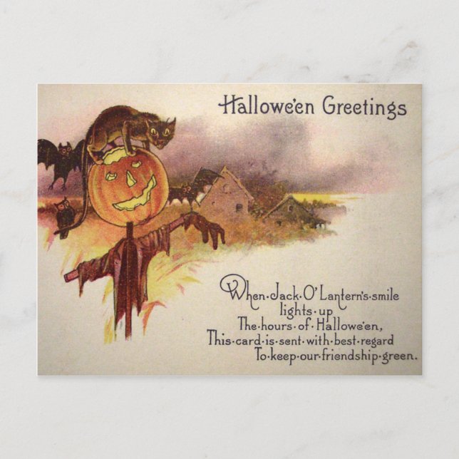 Svart katt Jack O' Lantern Pumpa Fladdermus Uggla Vykort (Framsida)