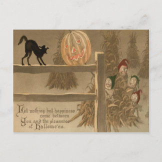 Svart Katt Jack O Lantern Pumpa Höstack Vykort