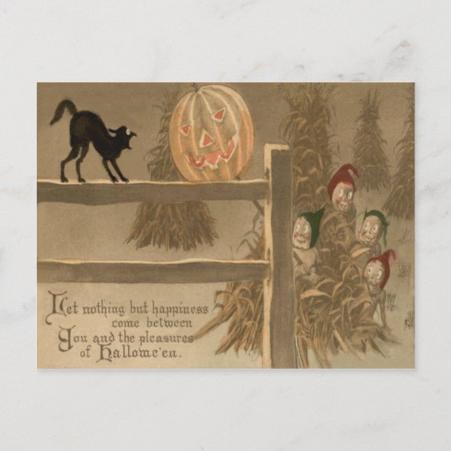 Svart Katt Jack O Lantern Pumpa Höstack Vykort (Framsida)