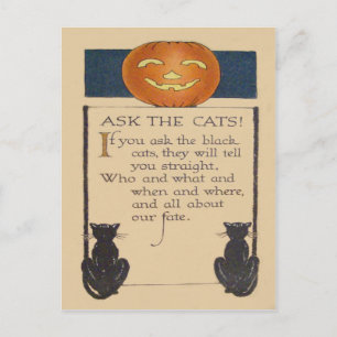 Svart katt Jack O' Lantern Pumpa Vykort