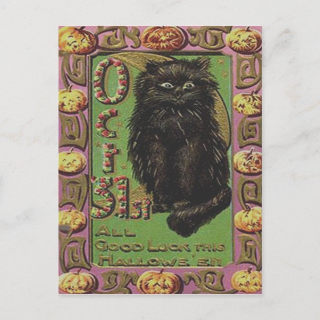 Svart Katt Jack O Lantern Pumpa Vykort (Framsida)