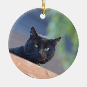 Svart katt julgransprydnad keramik