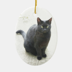 Svart katt julgransprydnad keramik