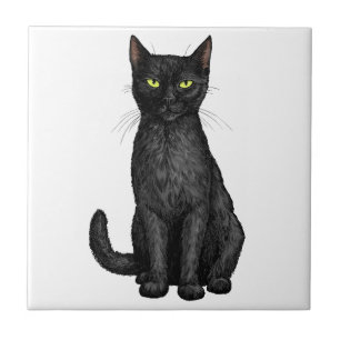 Svart katt kakelplatta