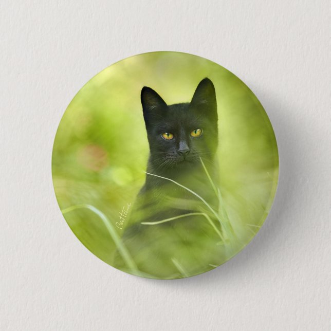 Svart katt knapp (Framsida)