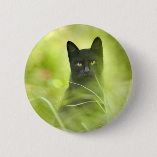 Svart katt knapp