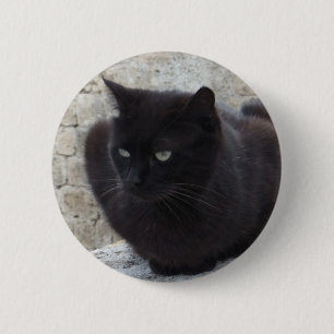 Svart katt, knapp