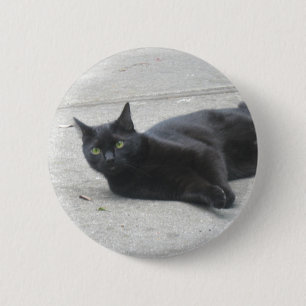 Svart katt knapp