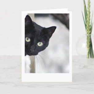 Svart katt kort
