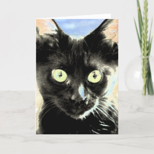 Svart katt kort