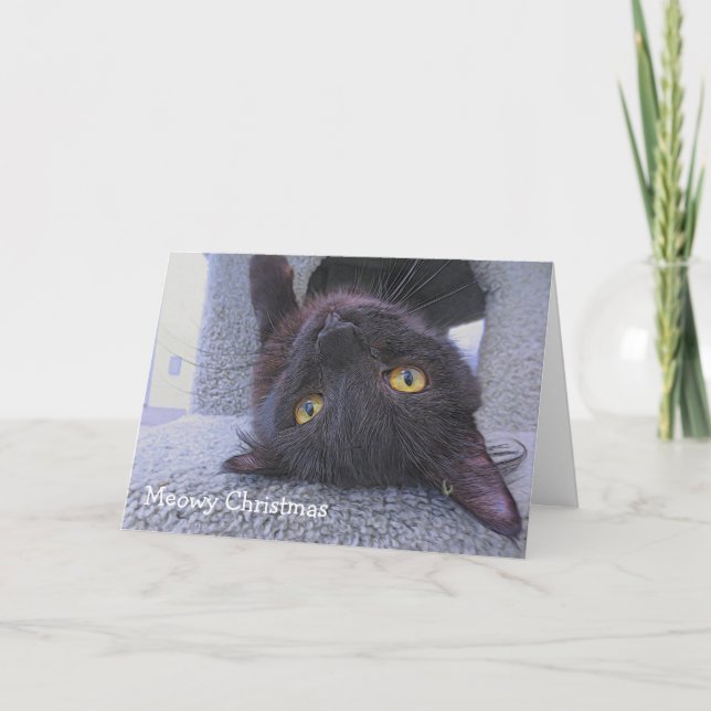Svart katt kort (Framsida)
