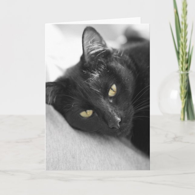 Svart katt kort (Framsida)