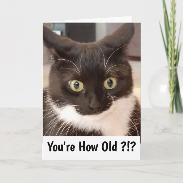 Svart katt kort (Framsida)