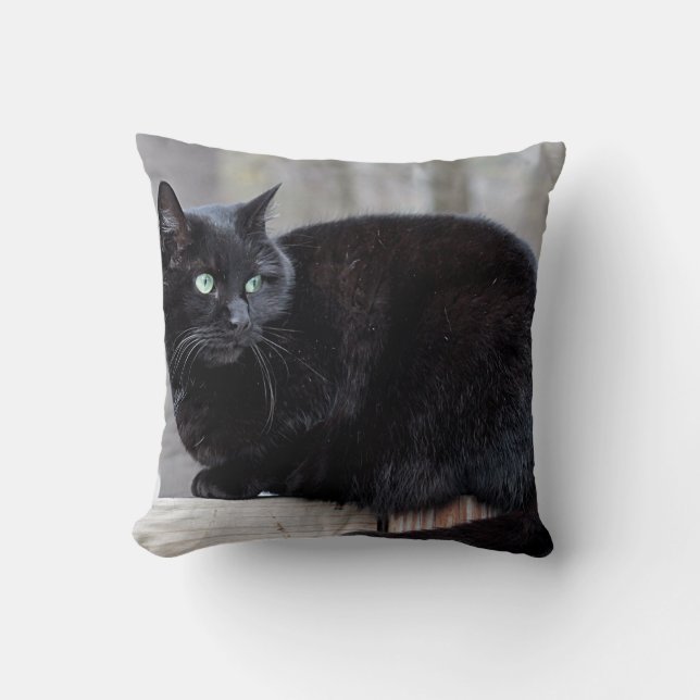 Svart katt kudde (Framsida)