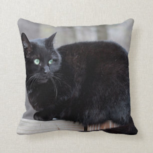 Svart katt kudde