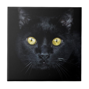 Svart katt, Magic Ögon Kakelplatta