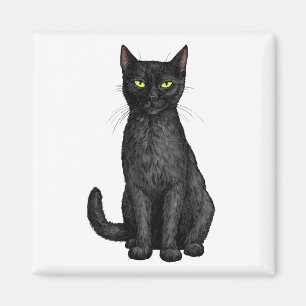 Svart katt magnet