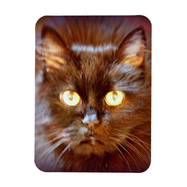 svart katt magnet (Vertikal)