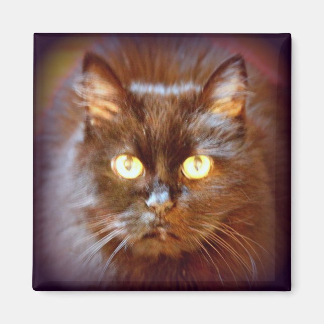 svart katt magnet (Framsidan)