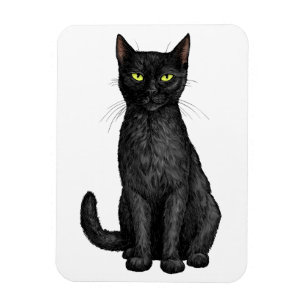 Svart katt magnet