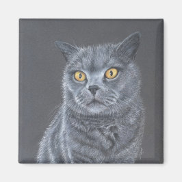 Svart katt  magnet