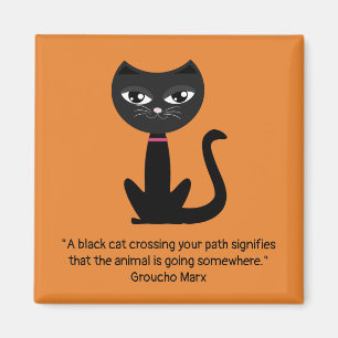 Svart katt magnet