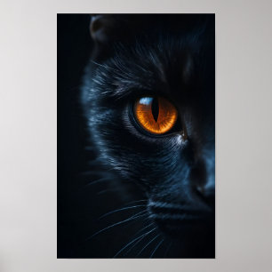 Svart katt med bärnstensöga poster