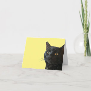 Svart katt med ett lustigt fyrkantigt uttryck utkl kort