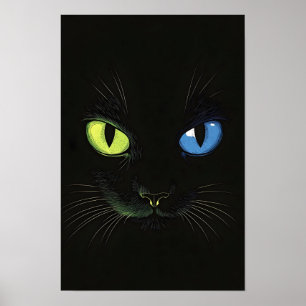 Svart katt med gröna och blå ögon poster